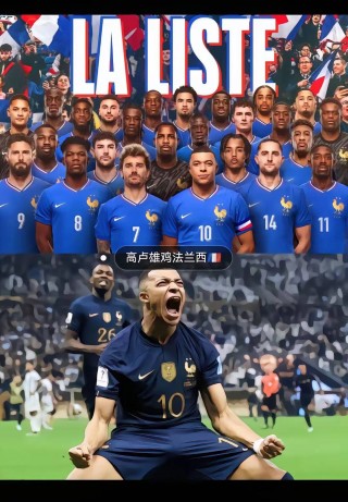 欧洲杯德国vs法国录像(欧洲杯德国vs法国比赛结果)