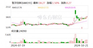 智洋创新：全资子公司完成工商变更并换发营业执照
