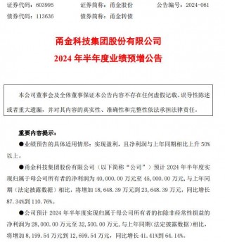 甬金股份2024年上半年预计净利4亿-4.5亿同比增长87%-111% 越南甬金产能利用率进一步提升