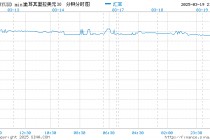 官员：土耳其央行“密切监控”外汇市场