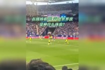 足球桃花影落飞神剑(足球桃花影落飞神剑什么意思)