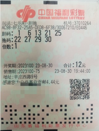 足球胆拖(足球胆拖票中奖规则)