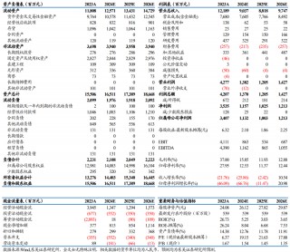 【东吴电新】永兴材料2024年业绩预告点评：Q4业绩符合预期，成本优势显著