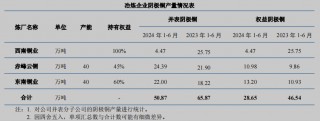 云南铜业H1净利润微增 西南铜业减产超20万吨铜|财报解读