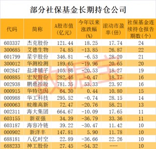 社保基金不舍得卖的公司揭秘！第一钟情股是它，二季度抄底服装龙头