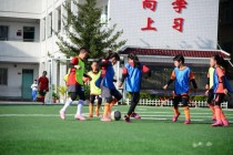 庆元旦足球赛(庆元旦足球征文稿)