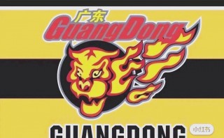 天津vs广州预测(广州vs天津cba)
