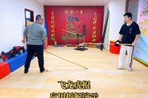 飞龙vs老虎(老虎和飞龙谁厉害)