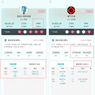 匈牙利vs澳洲分析(匈牙利vs匈牙利比分预测)
