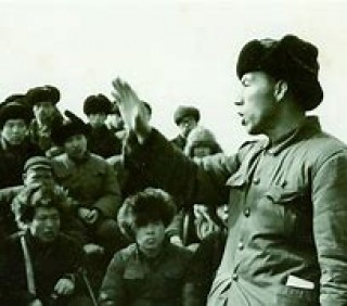 关于华城vs杨平的信息