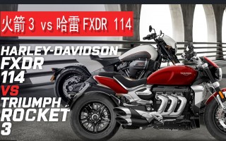 戴维森vs(戴维森VS叶问)