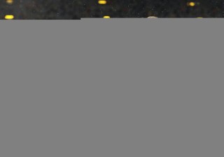 宾汉姆vs多特(宾汉姆6个排名赛冠军)