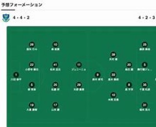 赞岐vs枥木的简单介绍