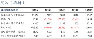 【东吴电新】永兴材料2024年业绩预告点评：Q4业绩符合预期，成本优势显著