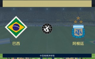 巴西vs(巴西vs韩国比赛回放高清)