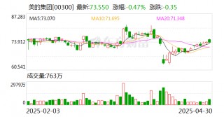 美的集团完成收购Teka集团