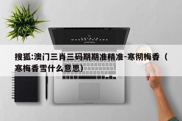 搜狐:澳门三肖三码期期准精准-寒彻梅香（寒梅香雪什么意思）  第1张