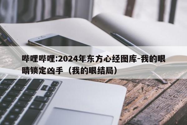 哔哩哔哩:2024年东方心经图库-我的眼睛锁定凶手（我的眼结局）  第1张