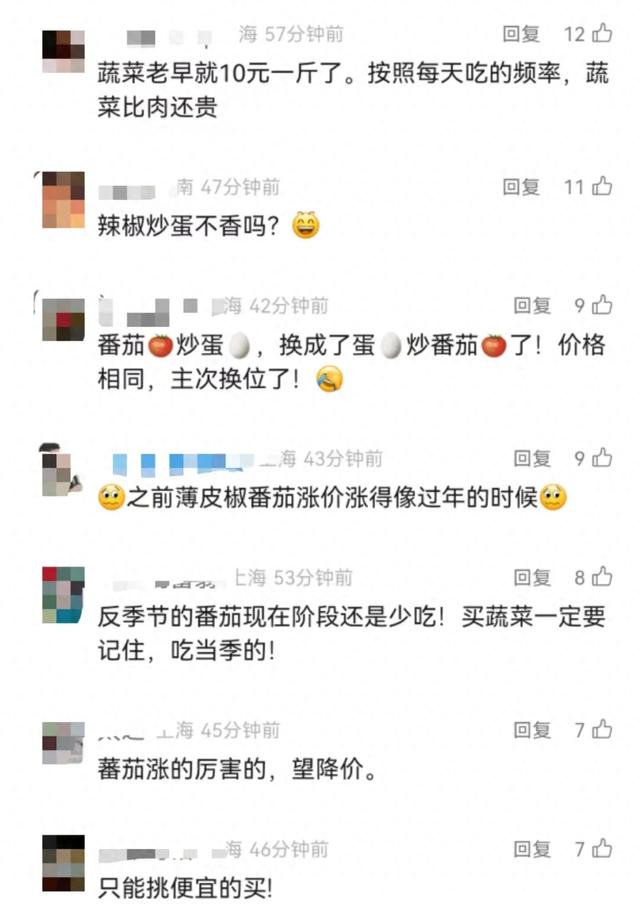 价格突然暴涨,蔬菜价格一路狂飙,“历年最贵”!市民傻眼:烧菜只能少放点 第1张 价格突然暴涨,蔬菜价格一路狂飙,“历年最贵”!市民傻眼:烧菜只能少放点 第1张