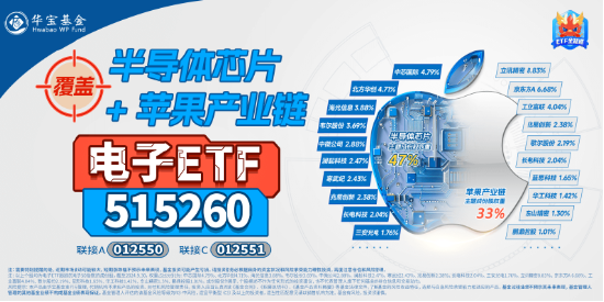 半导体突然爆发!中微公司摆脱清单限制+豆包发布视觉模型,电子ETF(515260)劲涨1.61%!主力资金狂涌 第4张 半导体突然爆发!中微公司摆脱清单限制+豆包发布视觉模型,电子ETF(515260)劲涨1.61%!主力资金狂涌 第4张