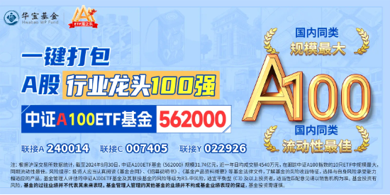 海光信息飙升13%领涨A100，中字头联手助攻，规模最大中证A100ETF基金（562000）逆市上扬，领跑大市！  第2张