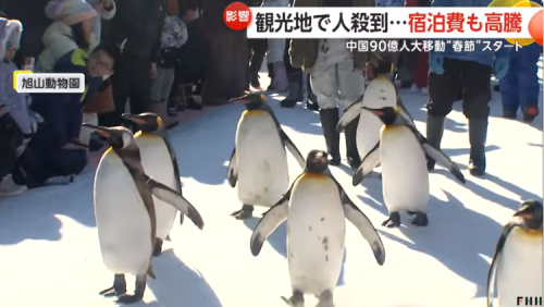 中国游客春节疯狂涌入日本,日网友感慨整个日本都在说“中国话”! 第11张 中国游客春节疯狂涌入日本,日网友感慨整个日本都在说“中国话”! 第11张