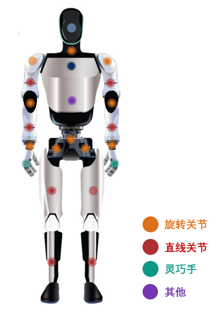 高盛:人形机器人行业或在2025年从研发阶段步入量产阶段 第2张 高盛:人形机器人行业或在2025年从研发阶段步入量产阶段 第2张