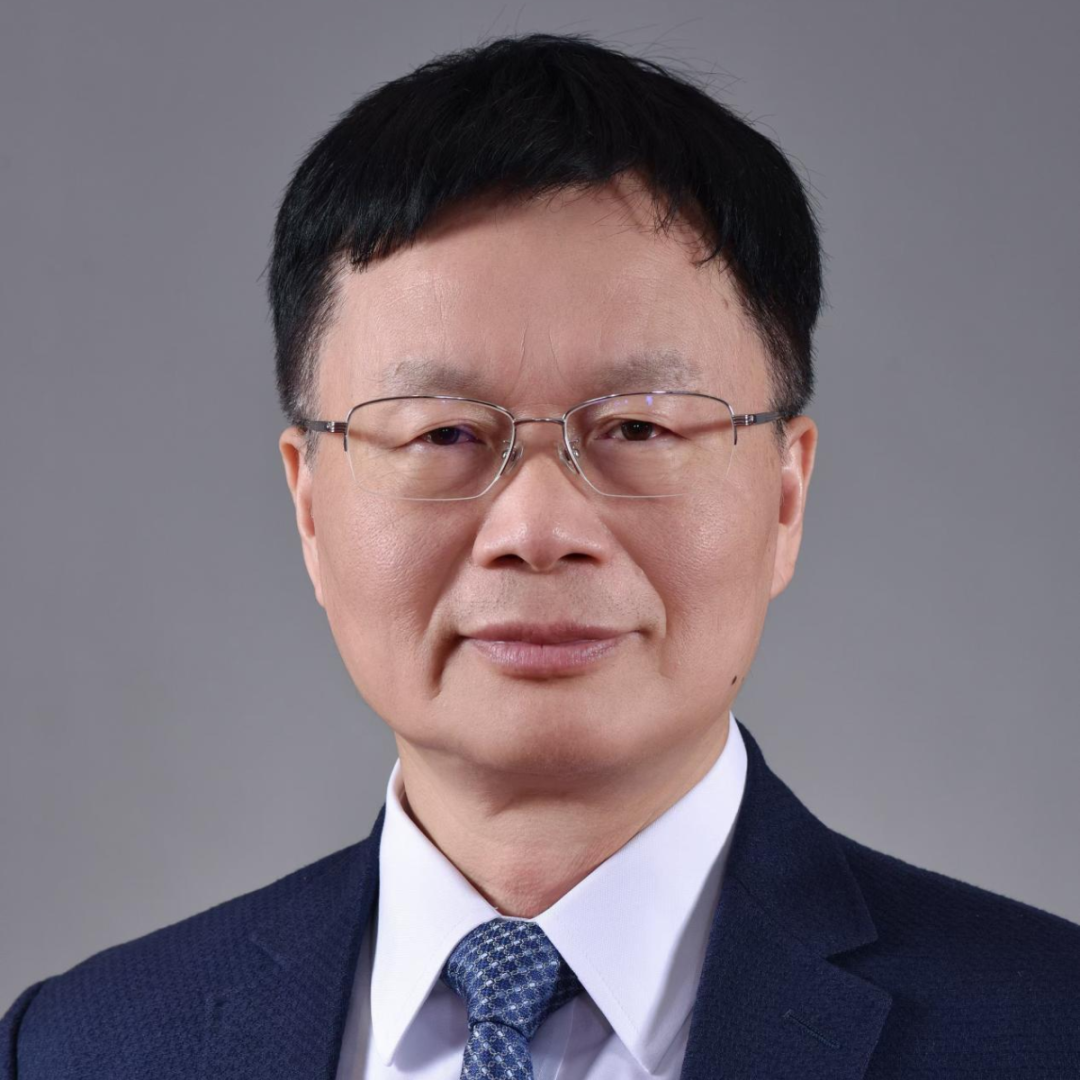 【报告嘉宾】中大型全碳纤维纯电推进渡船设计分享  第4张