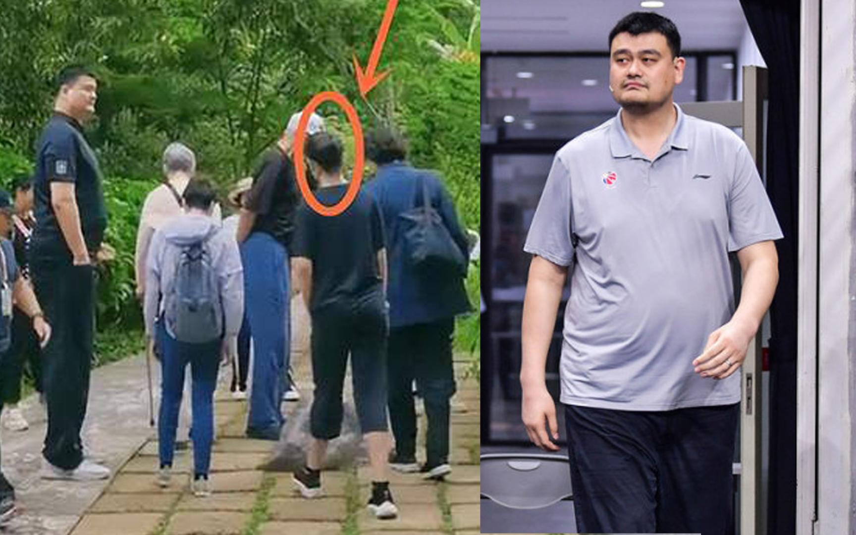 姚明身高(姚明身高226还是229)  第2张