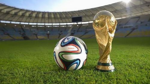 足球世界杯2022在哪里举行(足球世界杯2022在哪里举行呢)  第2张