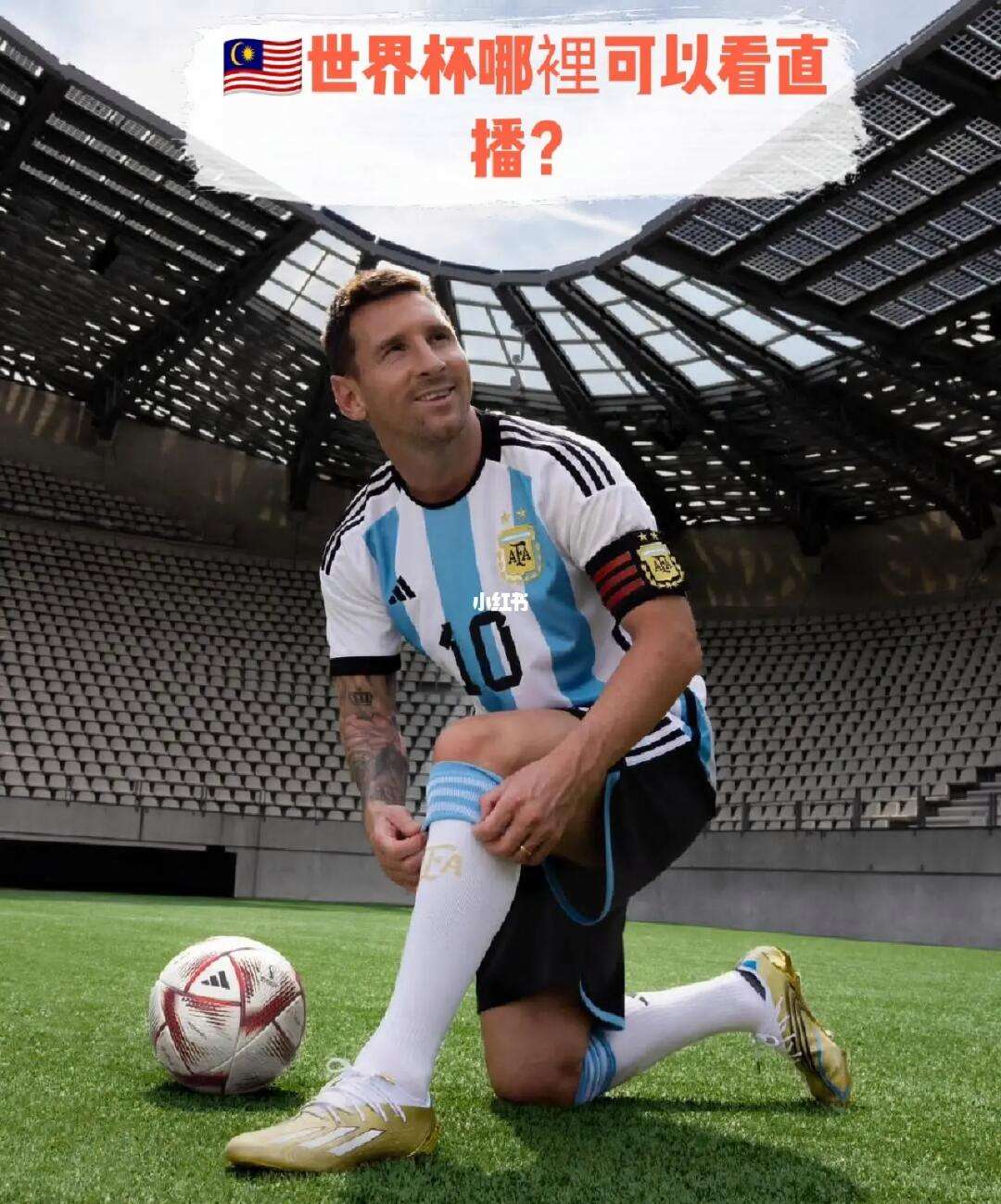 世界杯直播现场免费直播(世界杯直播现场免费直播下载)  第1张