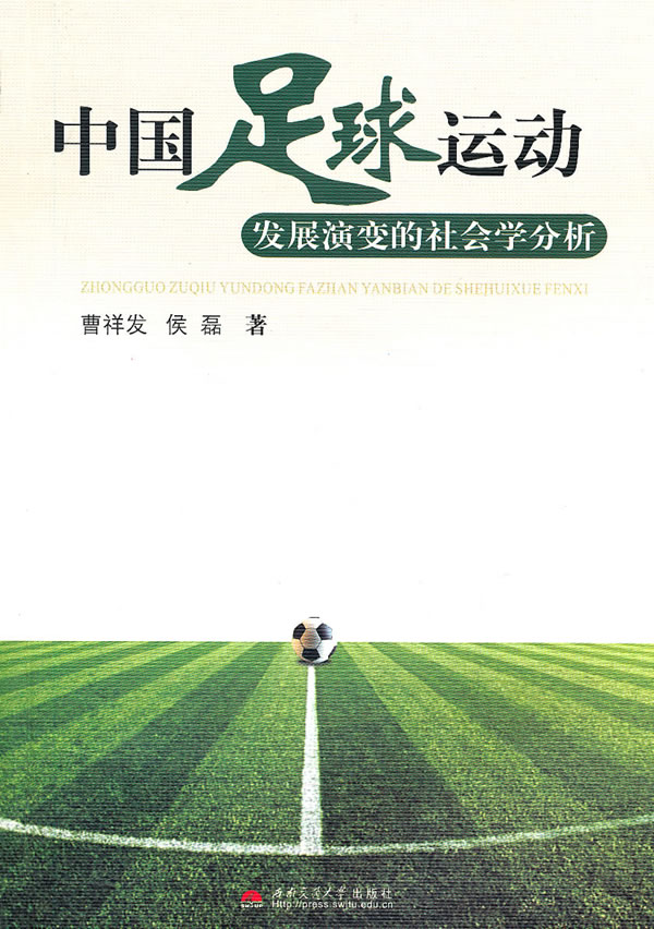足球与社会(社会足球场占地多少)  第1张