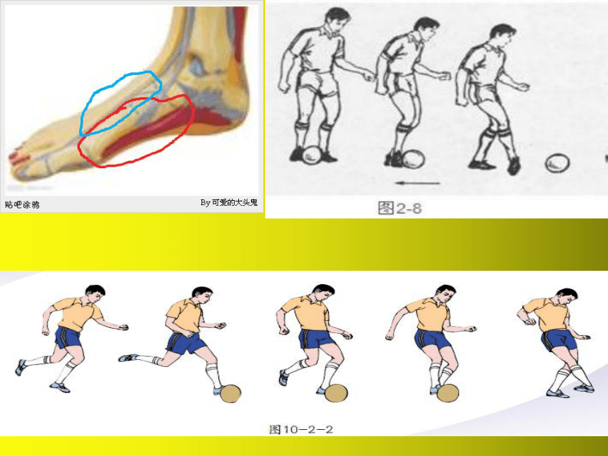 零基础学足球(零基础学足球怎么跟老师交流) 第2张 零基础学足球(零基础学足球怎么跟老师交流) 第2张
