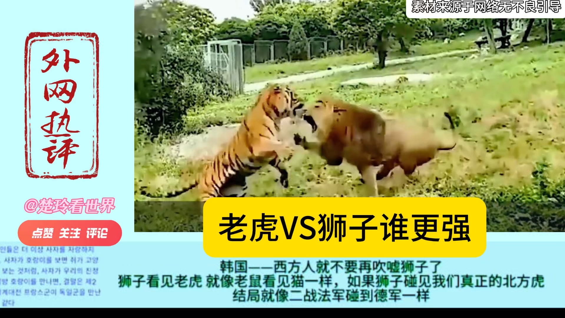 莫雷利亚vs老虎大学(莫雷利亚竞技足球俱乐部)  第1张