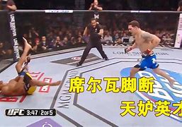 关于里德尔vs席尔瓦的信息 第1张 关于里德尔vs席尔瓦的信息 第1张