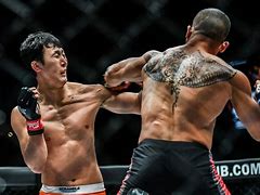 关于里德尔vs席尔瓦的信息 第2张 关于里德尔vs席尔瓦的信息 第2张