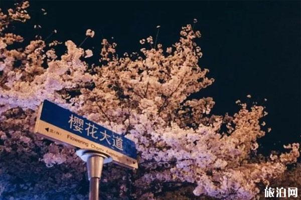 湘南vs樱花直播(荔枝直播app软件)  第2张