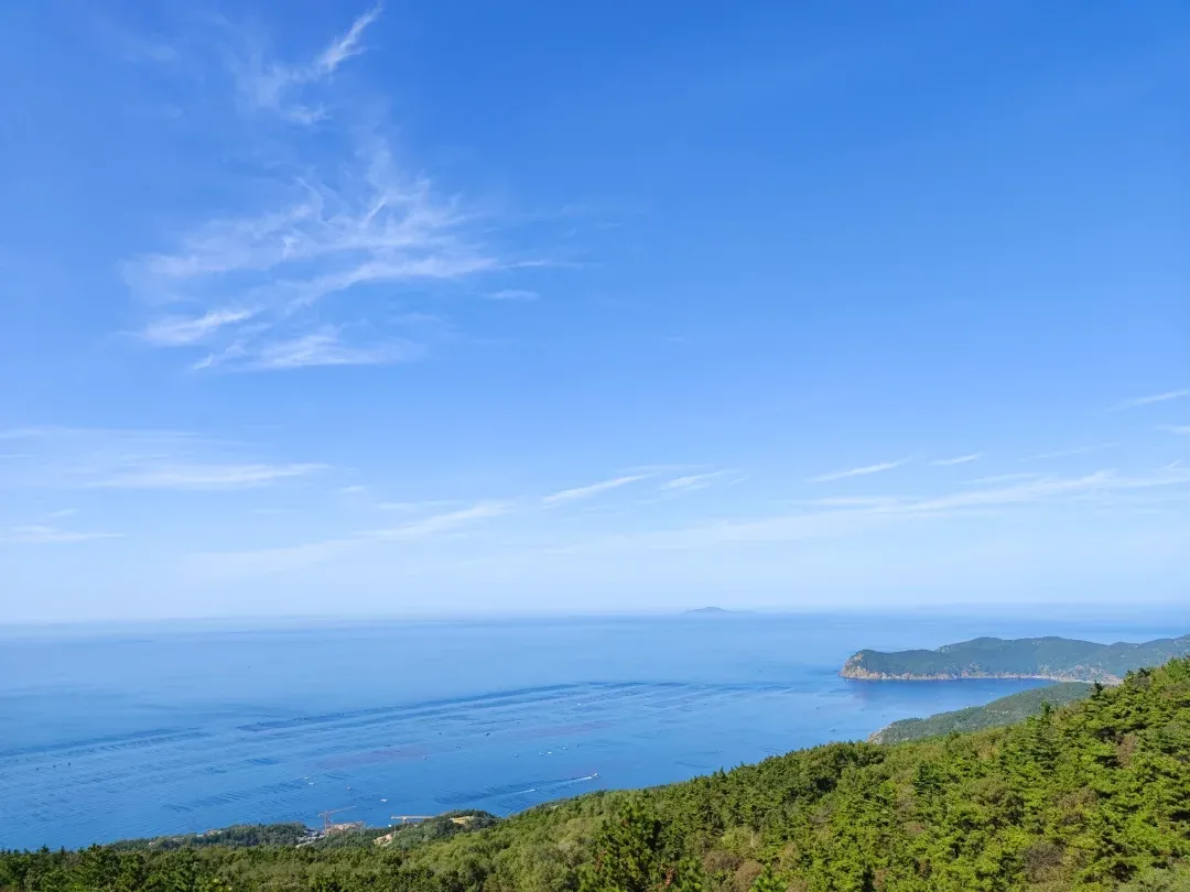 大连一方vS黄海(大连一方黄嘉辉简历)  第2张