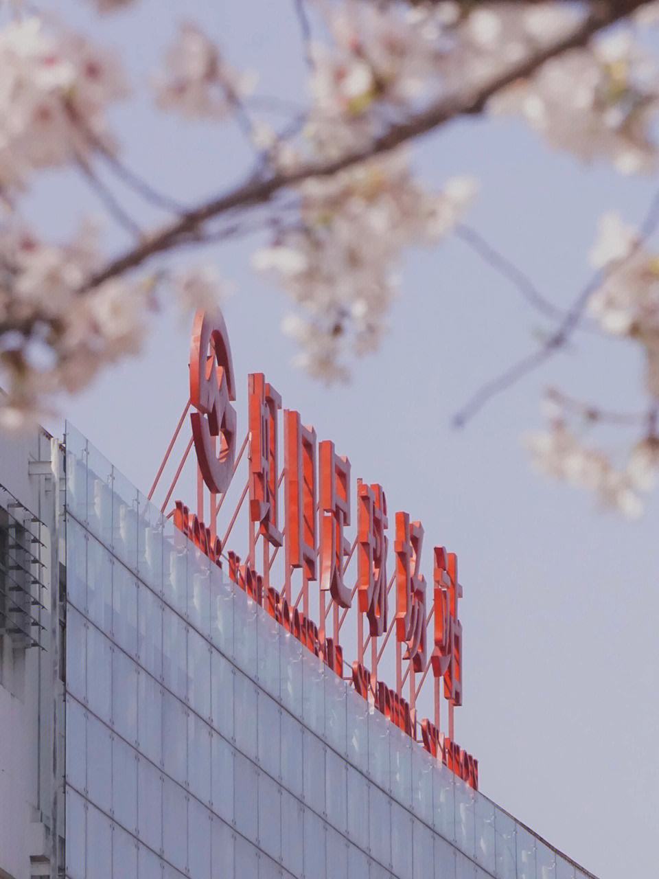 虹桥足球场(虹桥足球场离哪个高铁站近) 第1张 虹桥足球场(虹桥足球场离哪个高铁站近) 第1张