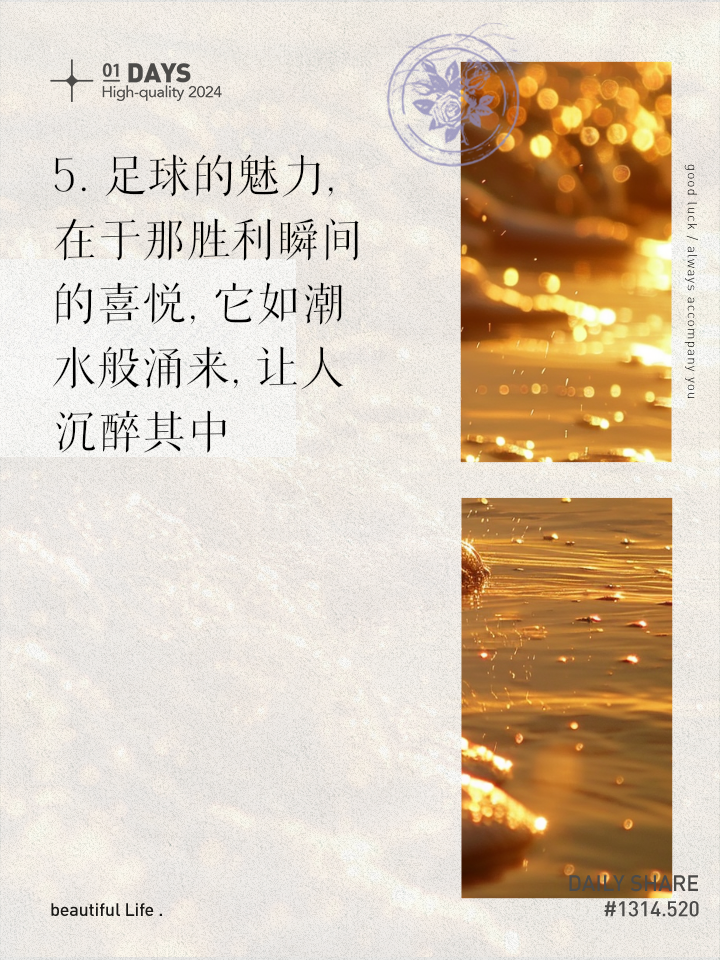 足球的台词(足球经典语录解说) 第1张 足球的台词(足球经典语录解说) 第1张