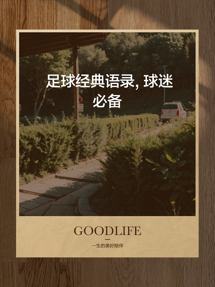 足球的台词(足球经典语录解说) 第2张 足球的台词(足球经典语录解说) 第2张