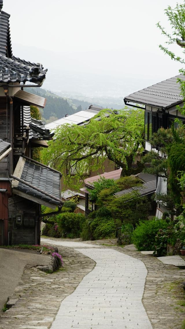 长崎vs大阪樱花(长崎vs大宫松鼠直播) 第1张 长崎vs大阪樱花(长崎vs大宫松鼠直播) 第1张