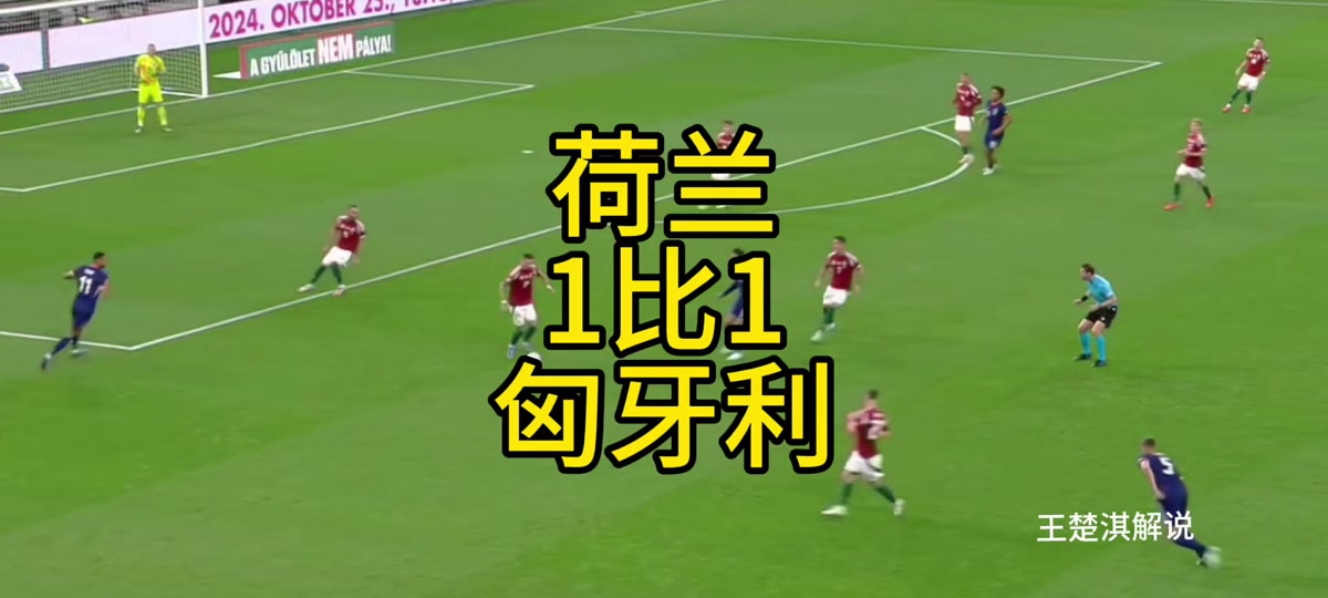 2014荷兰vs哥斯(奇幻赛事荷兰vs哥伦比亚) 第2张 2014荷兰vs哥斯(奇幻赛事荷兰vs哥伦比亚) 第2张