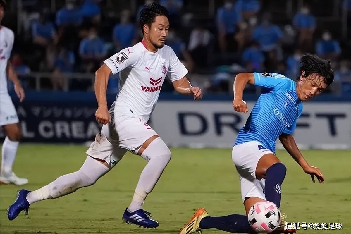 广岛vs鹿岛前瞻(广岛三箭对鹿岛鹿角) 第1张 广岛vs鹿岛前瞻(广岛三箭对鹿岛鹿角) 第1张