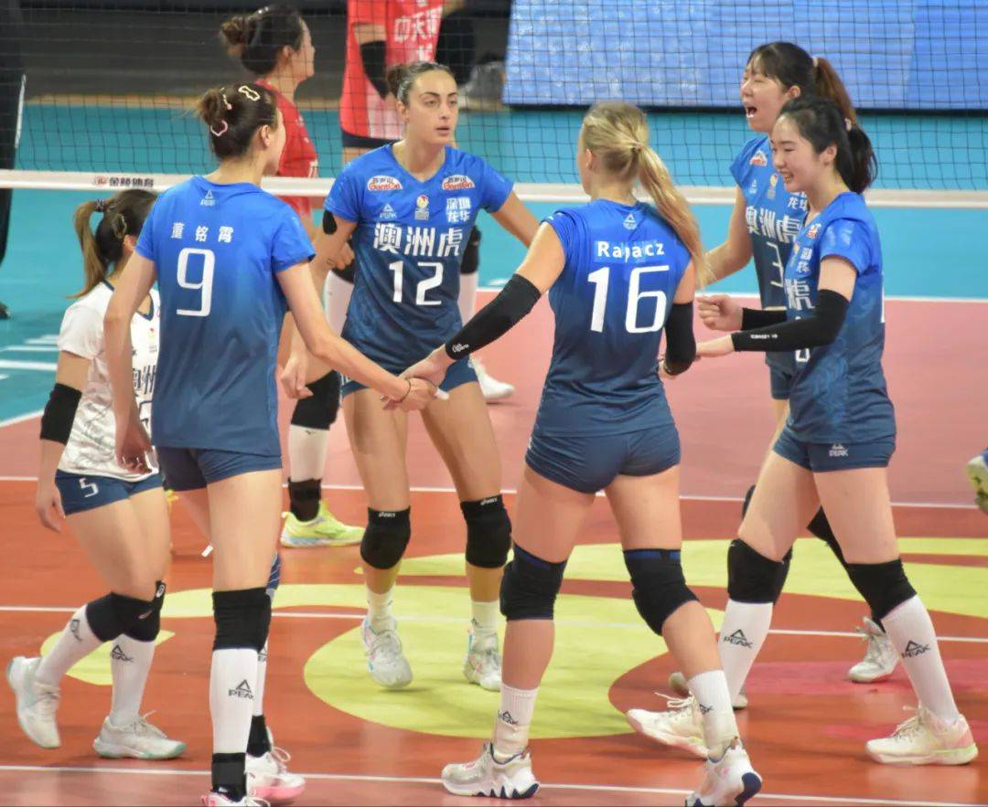 女排北京vs河南(中国女排和河南女排比赛) 第2张 女排北京vs河南(中国女排和河南女排比赛) 第2张