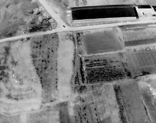 听说埋有大量黄金，想要“一辈子衣食无忧”，山东公安：5人已被依法采取刑事强制措施