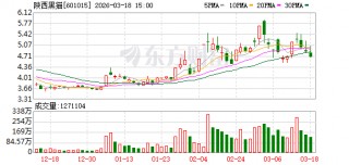陕西黑猫：2025年生产甲醇约20万吨