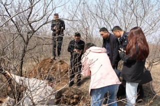 听说埋有大量黄金，想要“一辈子衣食无忧”，山东公安：5人已被依法采取刑事强制措施