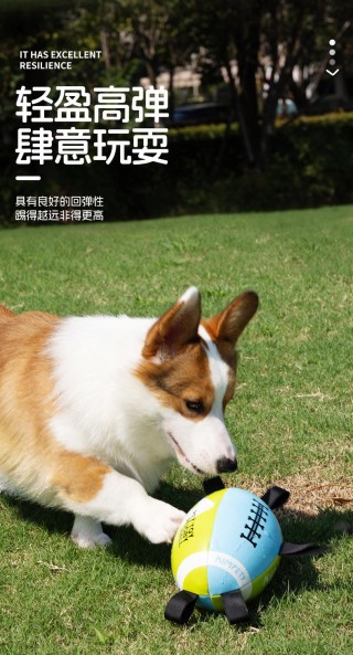 足球狗英文(足球狗什么意思)